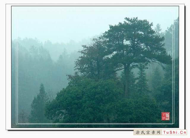 中华涂姓宗亲网