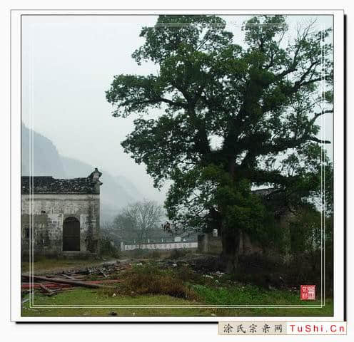 中华涂姓宗亲网